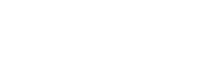 TS3+